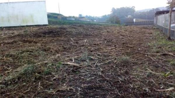 Terreno en calle Torre photo 3