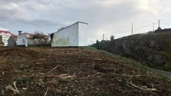 Terreno en calle Torre photo 4