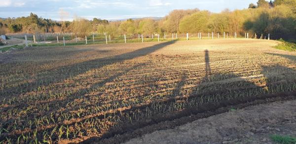 Terreno en tremoedo, 42 photo 2