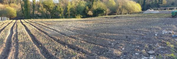 Terreno en tremoedo, 42 photo 3