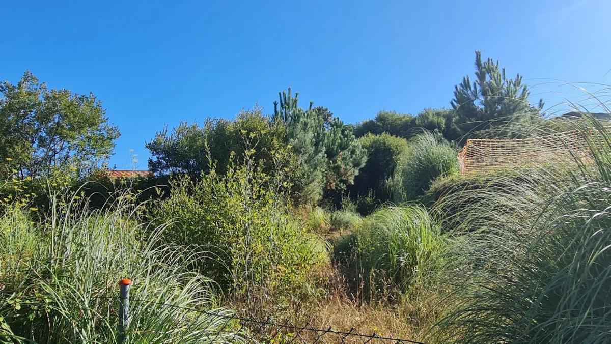 Terreno en venta en Sanxenxo, Pontevedra photo 3