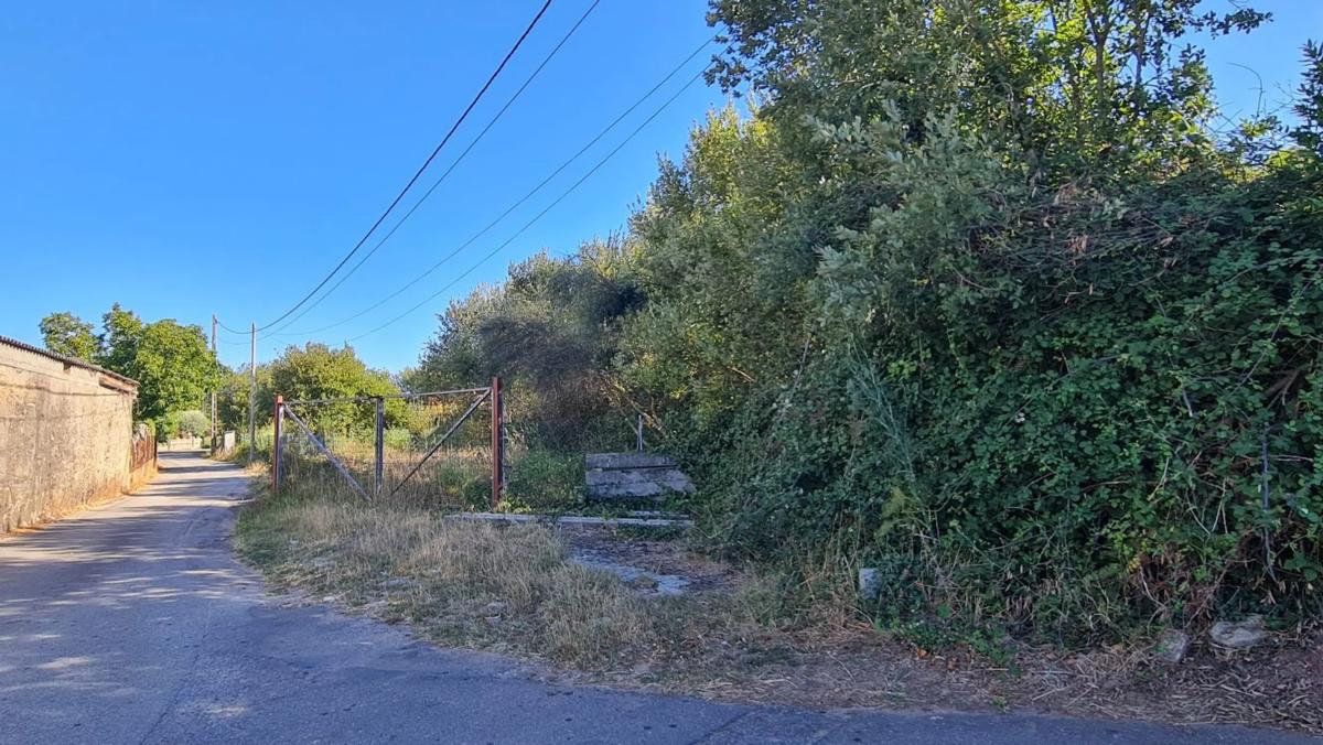 Terreno en venta en Sanxenxo, Pontevedra photo 5