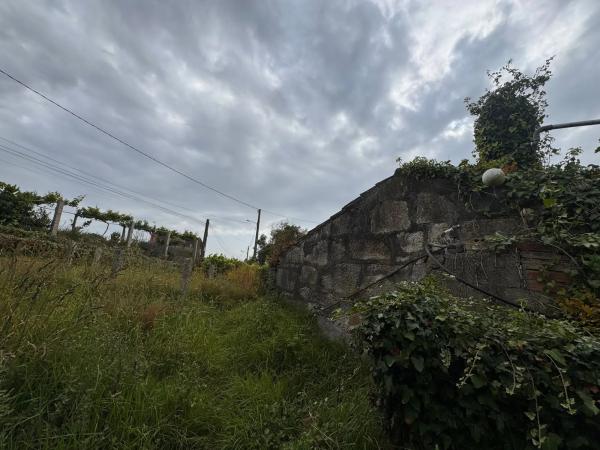 Terreno en Noalla photo 1