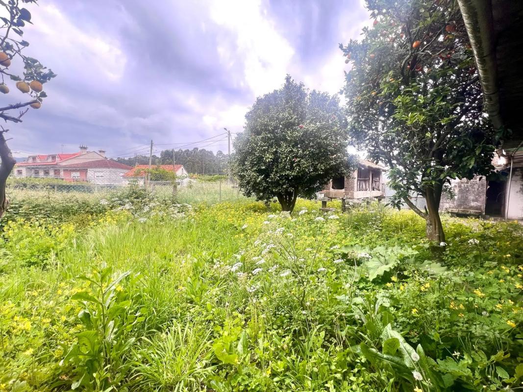 Działka na sprzedaż w Meaño, Pontevedra photo 3