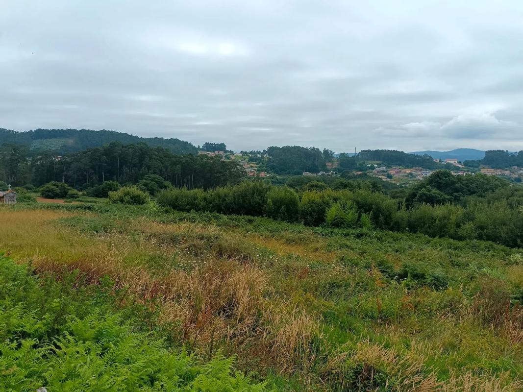 Terreno en venta en Sanxenxo, Pontevedra photo 5