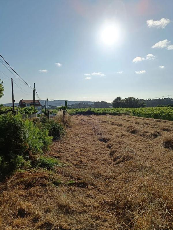 Terreno en venta en Cambados, Pontevedra photo 1