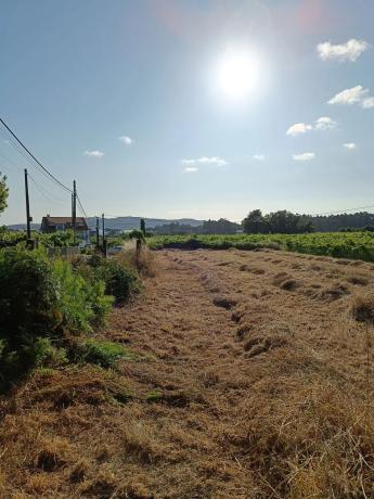 Terreno en Aldea a Revolta, 15 a photo 1