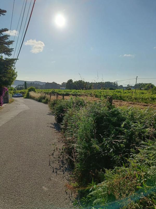 Terreno en venta en Cambados, Pontevedra photo 3