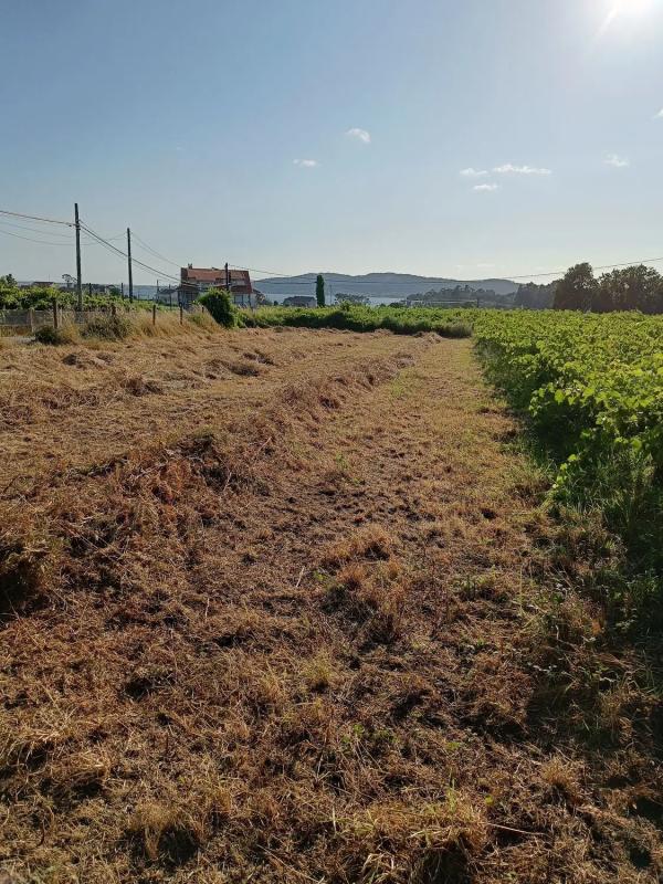 Terreno en venta en Cambados, Pontevedra photo 5