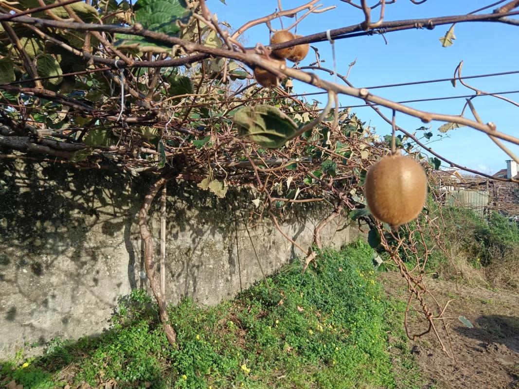 Terreno en venta en Cambados, Pontevedra photo 2