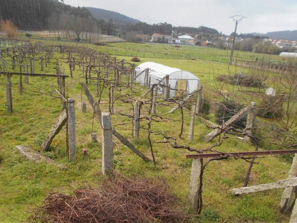 Terreno en Lugar Pedras, 6 photo 1