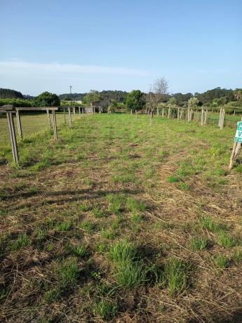 Terreno en Sobrán photo 2