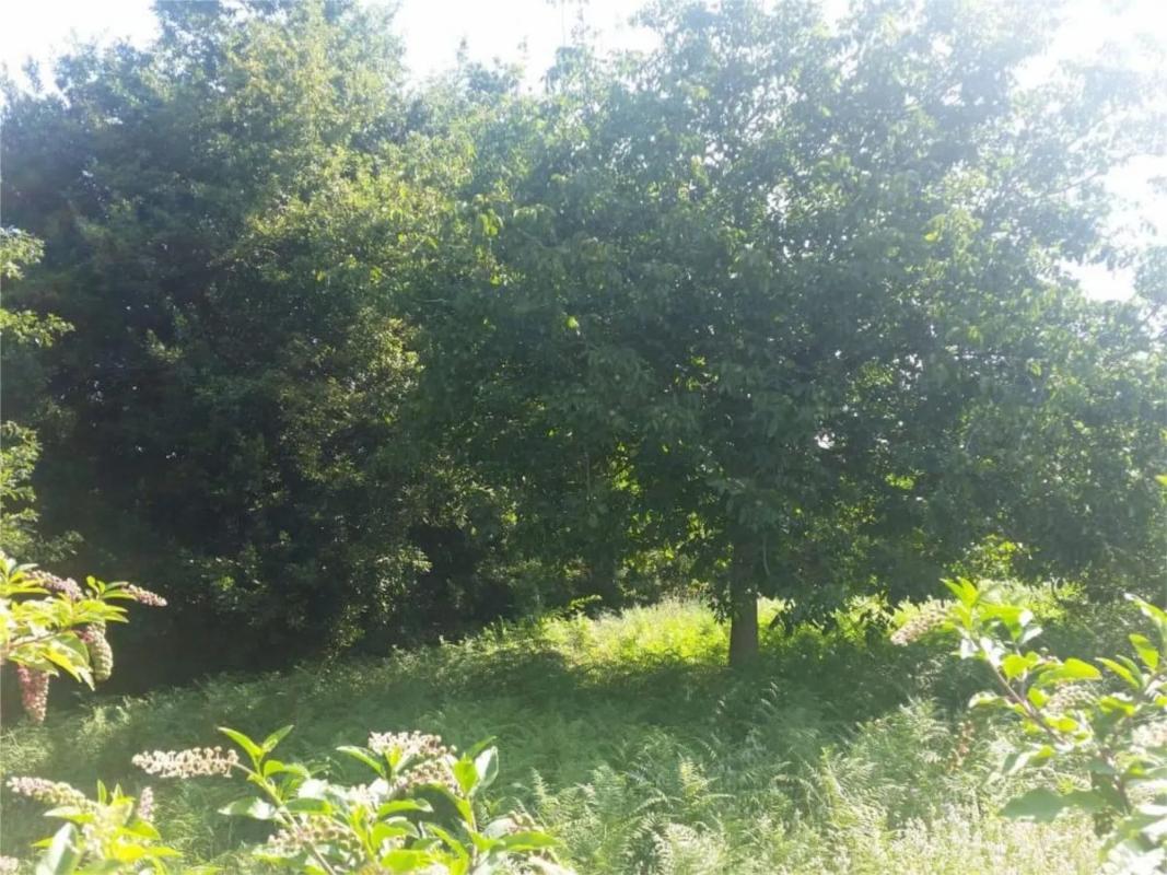 Terreno en venta en Vilagarcía de Arousa, Pontevedra photo 5