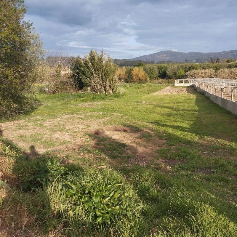 Terreno en venta en Ribadumia, Pontevedra photo 3