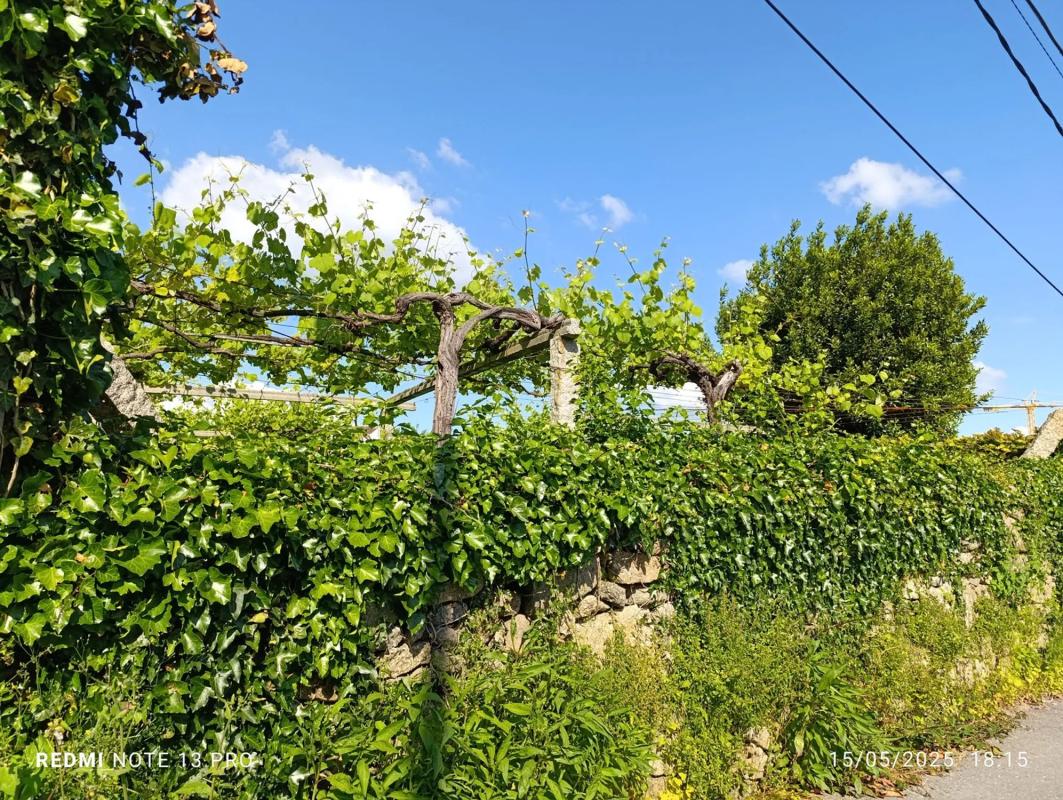 Terreno en venta en Cambados, Pontevedra photo 1