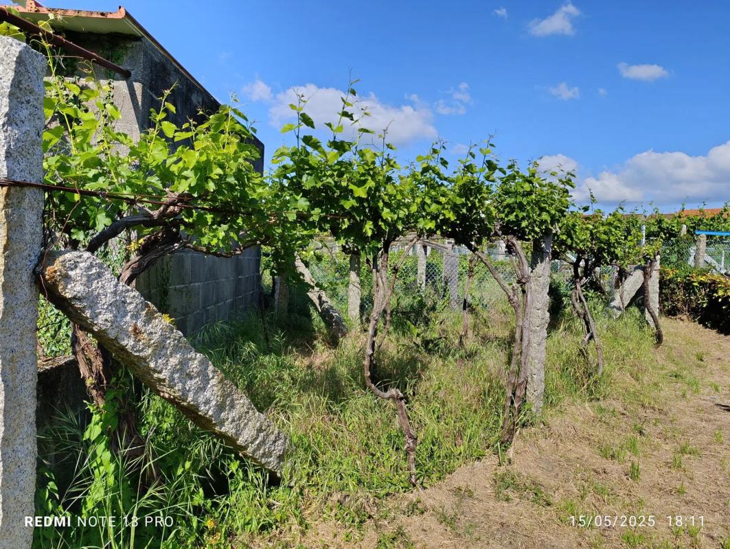 Terreno en venta en Cambados, Pontevedra photo 4