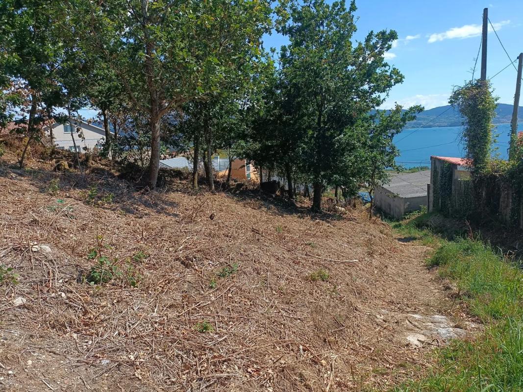 Działka na sprzedaż w Sanxenxo, Pontevedra photo 1
