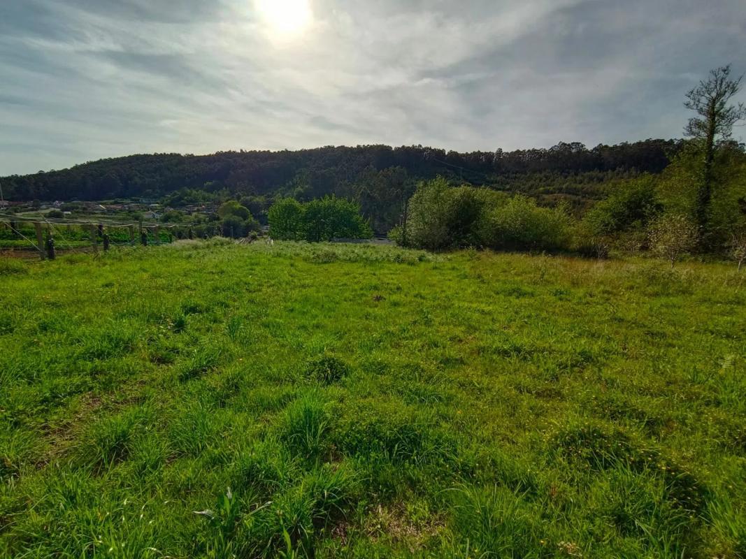 Działka na sprzedaż w Sanxenxo, Pontevedra photo 4