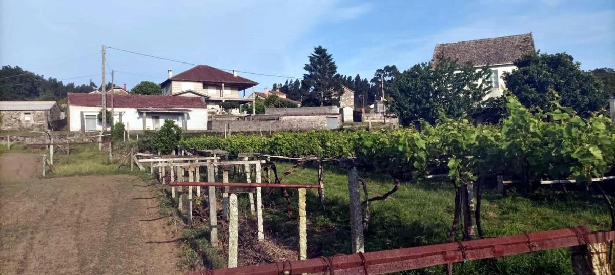 Terreno en venta en Vilanova de Arousa, Pontevedra photo 2