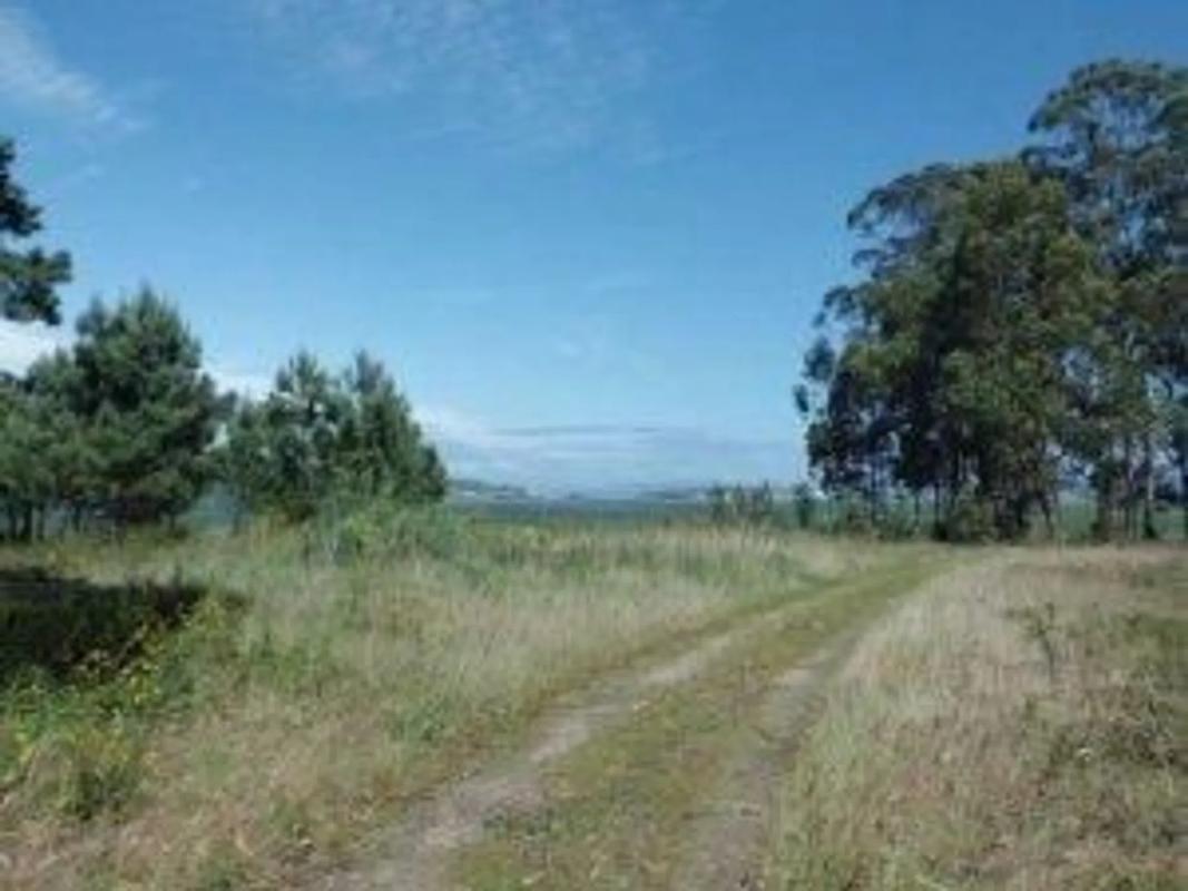 Terreno en venta en Sanxenxo, Pontevedra photo 5