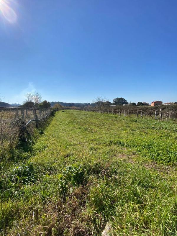 Land for sale in Vilagarcía de Arousa, Pontevedra photo 2