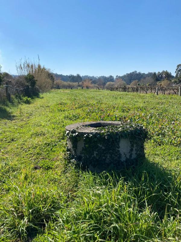 Land for sale in Vilagarcía de Arousa, Pontevedra photo 3