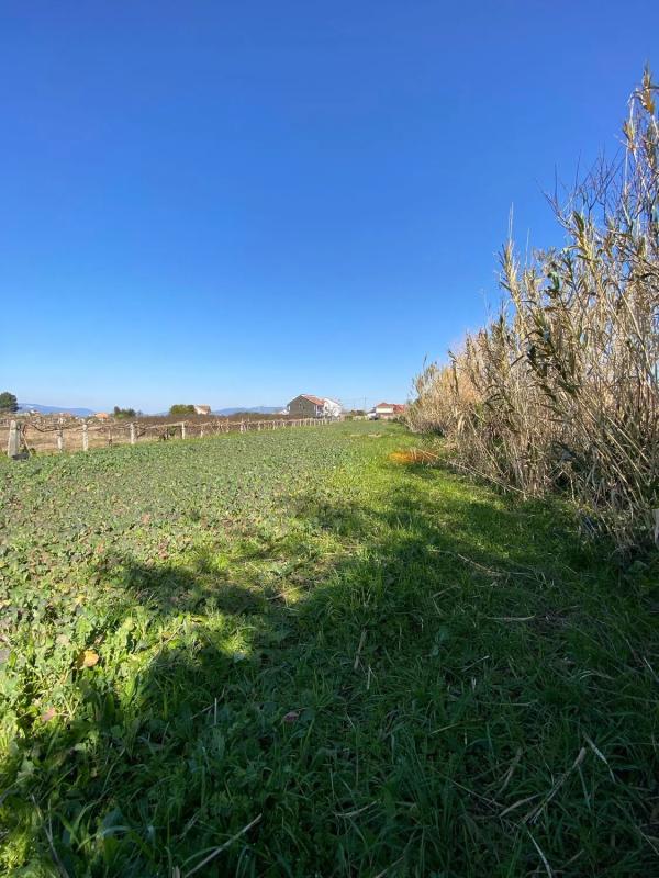 Land for sale in Vilagarcía de Arousa, Pontevedra photo 5