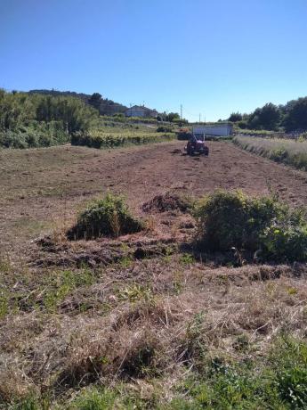 Terreno en calle Bamio photo 1