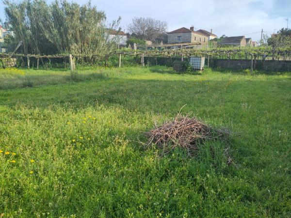 Terreno en calle da Fonte de Faxilde, 13 photo 4