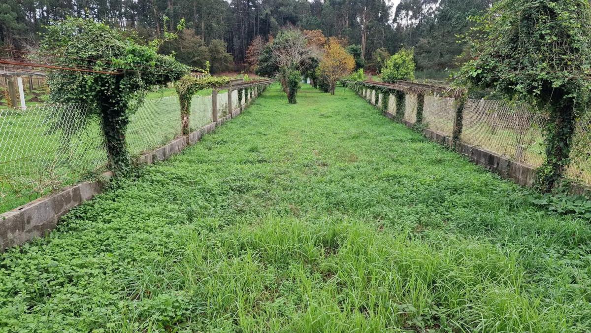 Terreno en venta en Vilagarcía de Arousa, Pontevedra photo 1