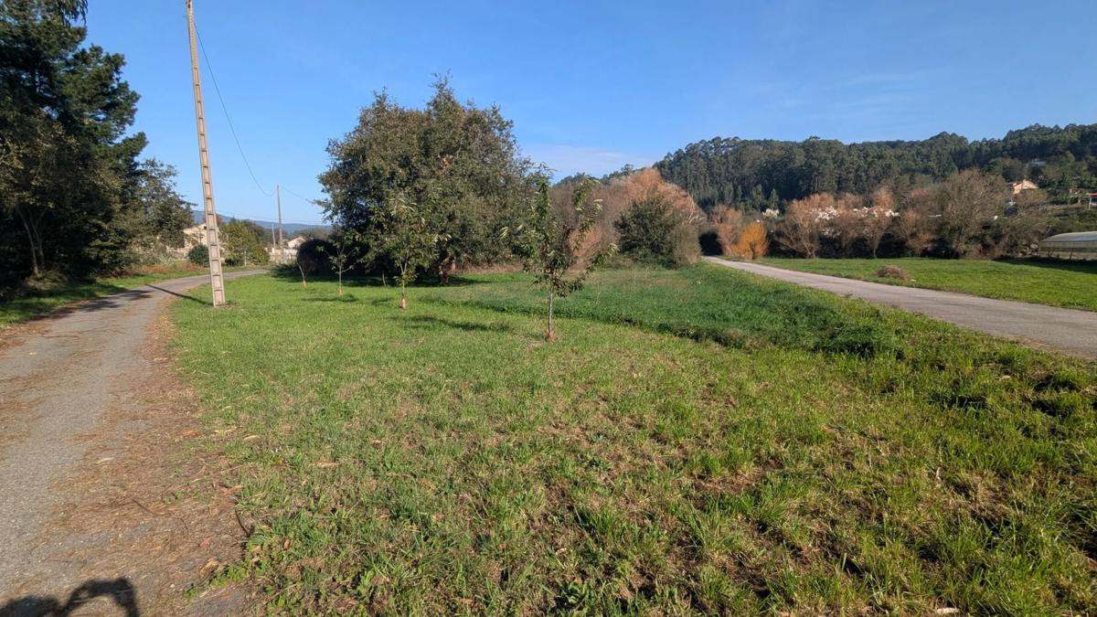 Land for sale in Meis, Pontevedra photo 3