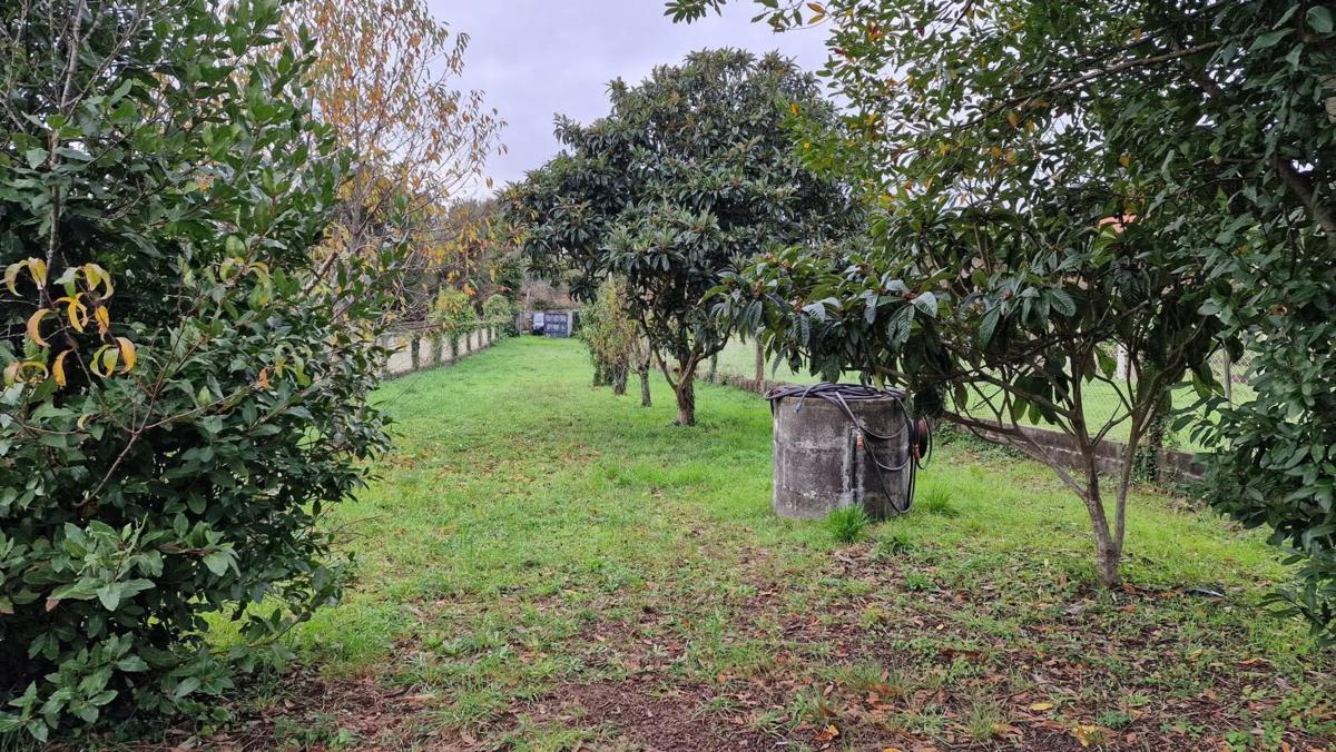 Terreno en venta en Vilagarcía de Arousa, Pontevedra photo 5