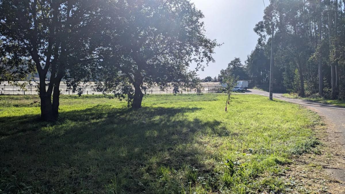 Land for sale in Meis, Pontevedra photo 5