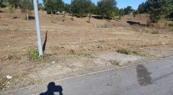 Terreno en ag, km 16 photo 1