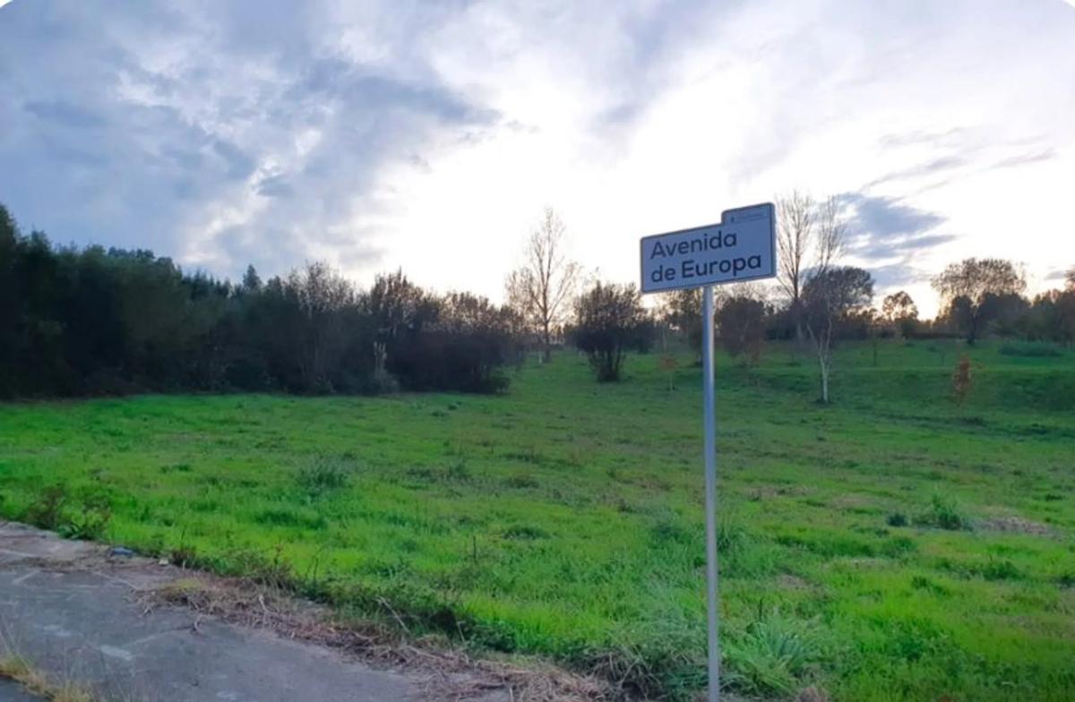 Terreno en venta en Sanxenxo, Pontevedra photo 5