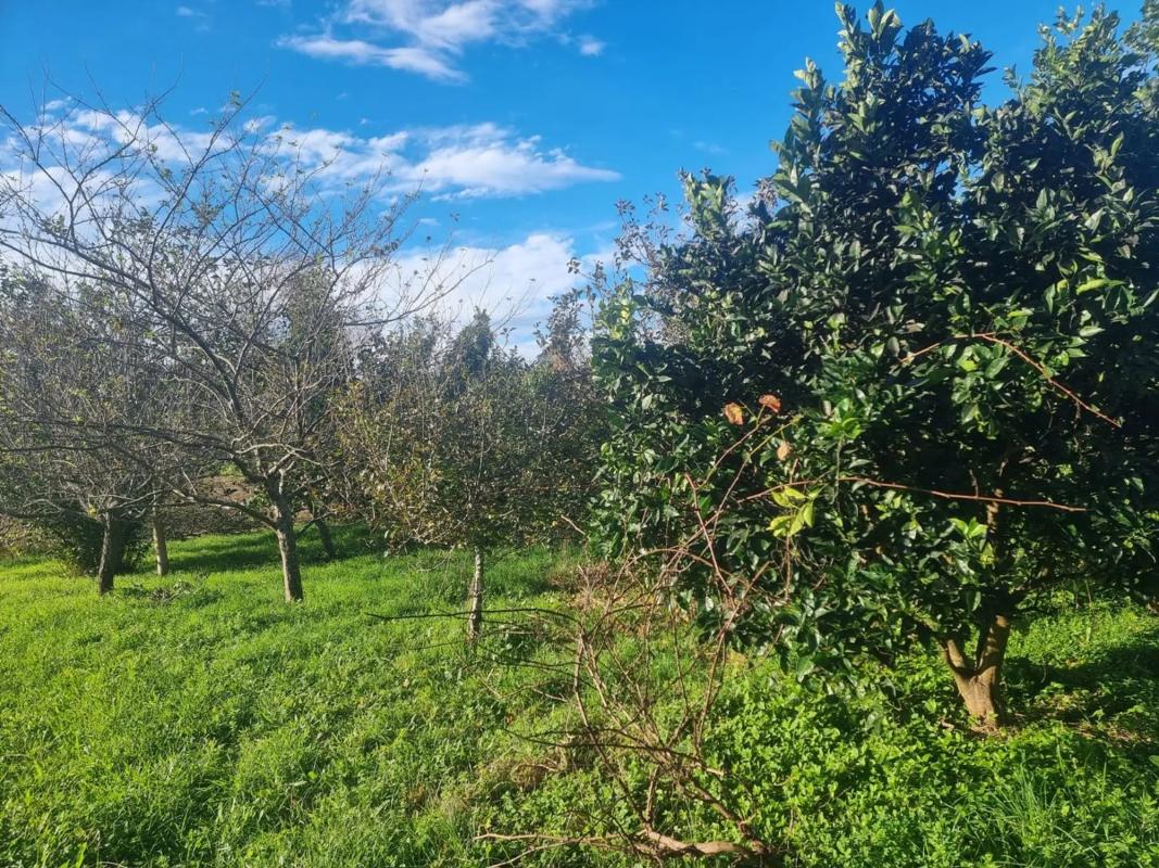 Land for sale in Sanxenxo, Pontevedra photo 1