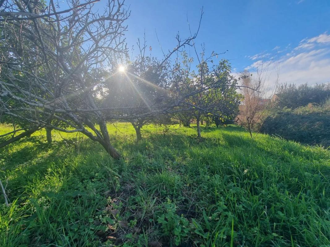 Land for sale in Sanxenxo, Pontevedra photo 5