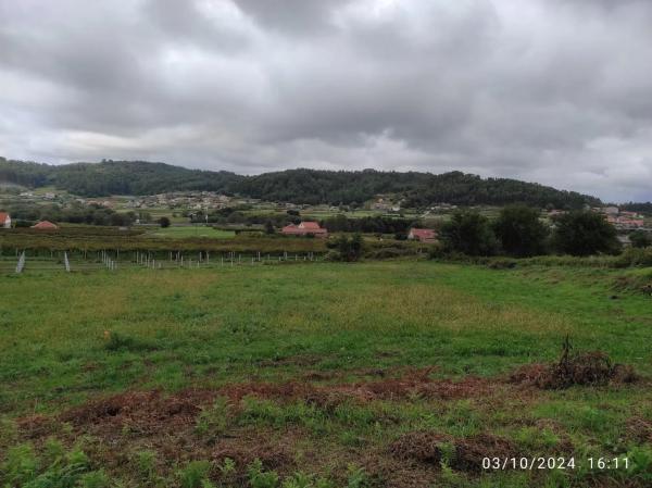 Terreno en igrexa s/n photo 1