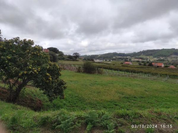 Terreno en igrexa s/n photo 2