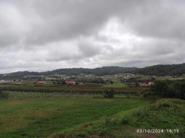 Terreno en igrexa s/n photo 3