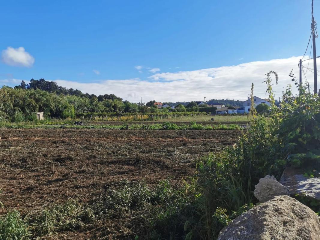 Terreno en venta en Vilagarcía de Arousa, Pontevedra photo 3