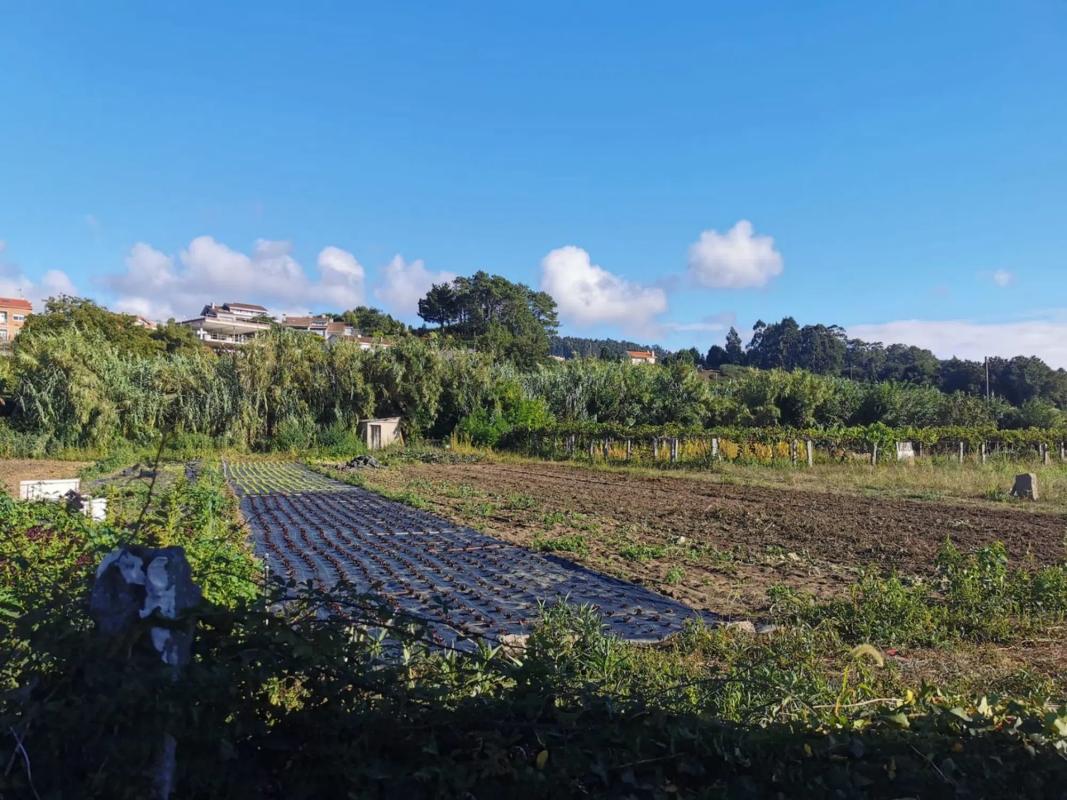 Terreno en venta en Vilagarcía de Arousa, Pontevedra photo 4