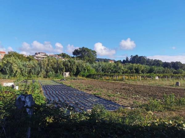 Terreno en O Carril - Bamio photo 4