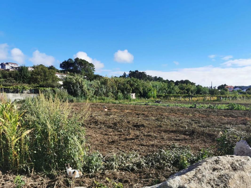 Terreno en venta en Vilagarcía de Arousa, Pontevedra photo 5