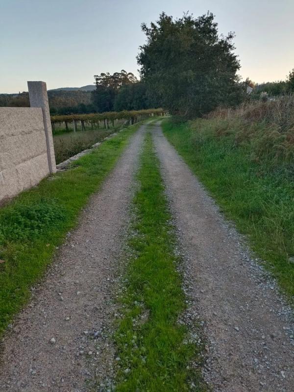 Terreno en venta en Ribadumia, Pontevedra photo 1