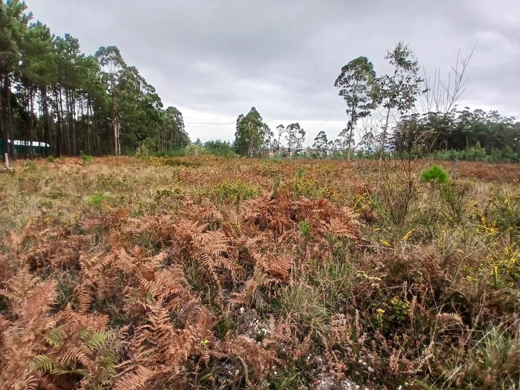 Terreno en venta en Vilanova de Arousa, Pontevedra photo 1