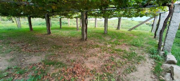 Terreno en N/a s/n photo 1