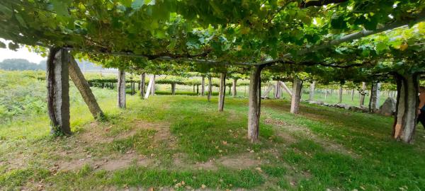 Terreno en N/a s/n photo 3