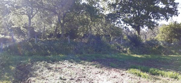 Terreno en Armenteira s/n LgVilarsn photo 1