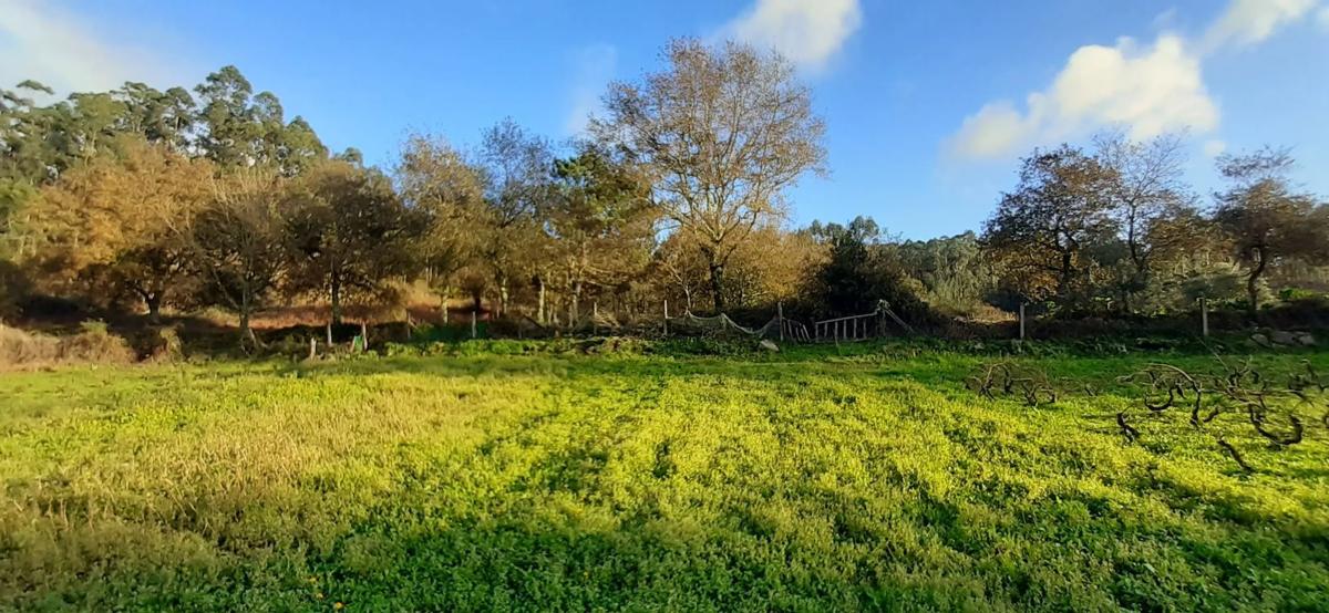 Land for sale in Meis, Pontevedra photo 2